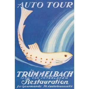   Auto Tour Trummelbach   Poster by Anton Trieb (12x18)
