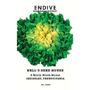  Endive Broad Batavia Full Heart 12x18 Giclee on canvas 