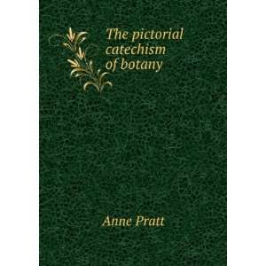 The pictorial catechism of botany Anne Pratt  Books