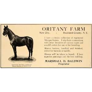   Morgan Horses Daniel Lampert Farm   Original Print Ad: Home & Kitchen