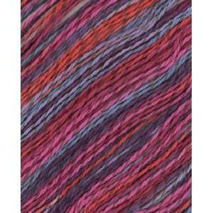  Berroco Linsey Colors Yarn 6510 Harthaven: Arts, Crafts 