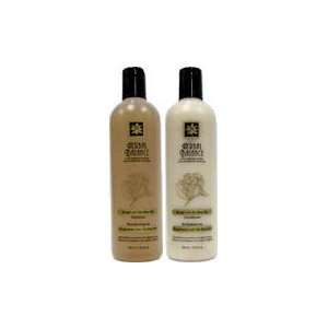  Ginger Shampoo with Ho Shou Wu