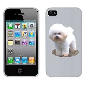  Bichon Frise on Verizon iPhone 4 Case by Coveroo  