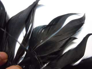 F881 PER 30cm  Black Cut Curl Rooster Hackle feather fringe Fascinator 