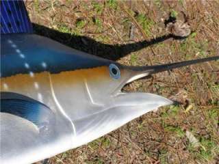XL SAILFISH fish Replica MOUNT   BEAUTIFUL COLORS 6FT/ 72 inches 