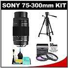 sony zoom lens 300mm  