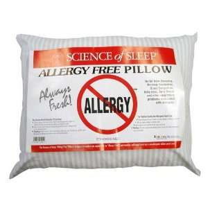 Allergy Free Pillow Queen 15.5 x 27 (Catalog Category: Back & Neck 