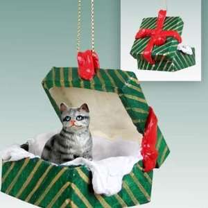  Silver Tabby Green Gift Box Cat Ornament: Home & Kitchen