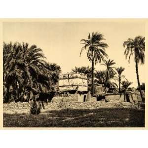  1929 Egypt Thebes Pigeon House Luxor Palm Photogravure 