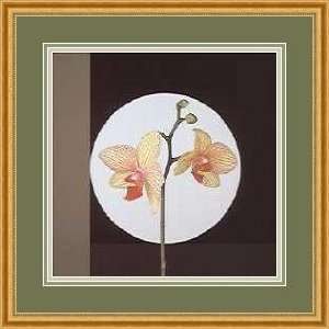   Orchids, 1988 by Robert Mapplethorpe   Framed Artwork