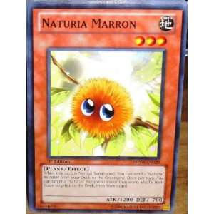   Shockwave Single Card Naturia Marron PHSW EN029 Common Toys & Games