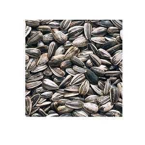  Grey Striped Sunflower Seed 3 Lb: Everything Else