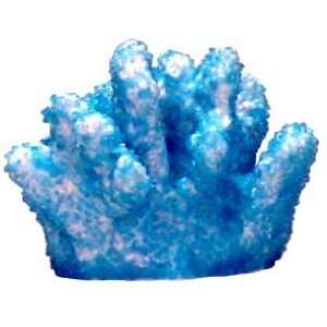  Br Mini Cats Paw Coral Blue
