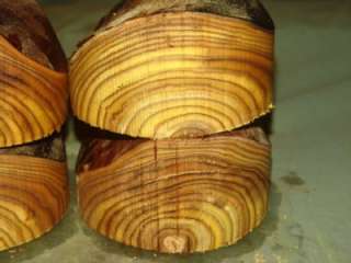   Incredible size Natural edge Staghorn sumac Bowl Blanks 6 x 3  