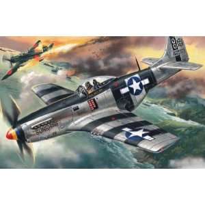 com ICM MODELS   1/48 WWII P51K Mustang USAF Fighter (Plastic Models 