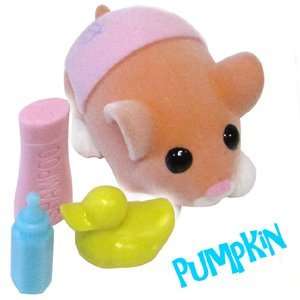   Toys   Zhu Zhu Hamster Babies and Accessories Pumpkin: Toys & Games