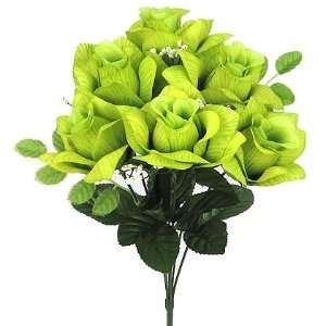   Rose Bush with Vein Apple Green (Set of 12 Bushes): Home & Kitchen