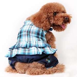   blue Denim Pant for Pets Supplies & Clothing by CET Domain: Pet