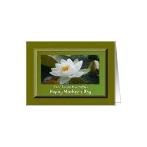  Step Mother / Happy Mothers Day / White Water Lily Card 