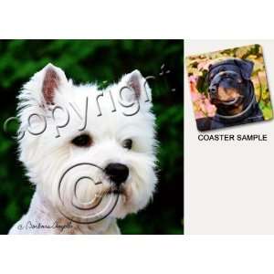 West Highland Terrier Dog Drink Coasters:  Kitchen & Dining