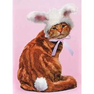  Cat in Bunny Ears Easter Card: Everything Else