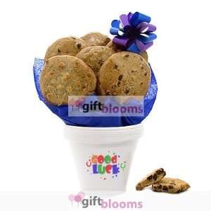  Good Luck Cookie Flower Pot   6 or 12 Gourmet Cookies 
