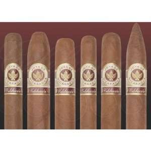  Joya de Nicaragua Celebracion   Consul   Box of 20 Cigars 