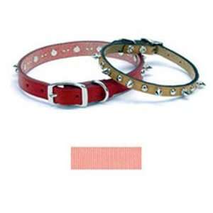  1705K 5/8 Spiked Leather Collar: Pet Supplies