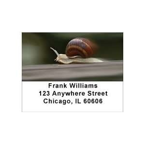  Home For Sale Address Labels