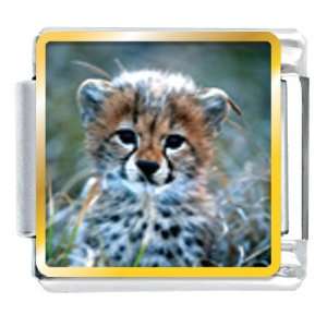  Baby Cheetah Cub Animal Photo Italian Charms Bracelet Link 