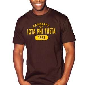  Iota Phi Theta Property of Est.Tee