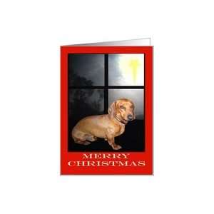 com Merry Christmas,from pet, Dachshund in window with Christmas star 