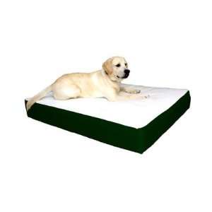  Orthopedic Double Dog Bed Fabric Green, Size Medium (24 