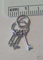 Sterling Silver 3D Skeleton Keys on a Key Ring Charm  