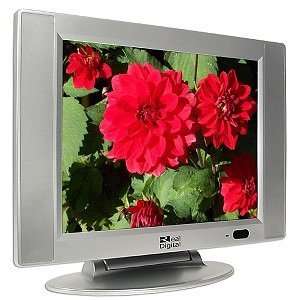   15 Inch Real Digital LCD/TV Monitor w/DVD Player (Silver) Electronics