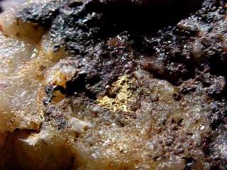 massive sixty four ounce gold in quartz specimen found by sasquatch in 