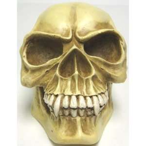  Bone Finish Vampire Skull Statue Figure Fangs Human