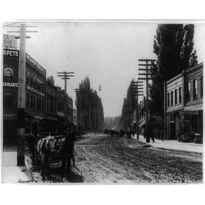   stores,horse drawn wagons,buildings,roads,Lewiston,Idaho,ID,c1907