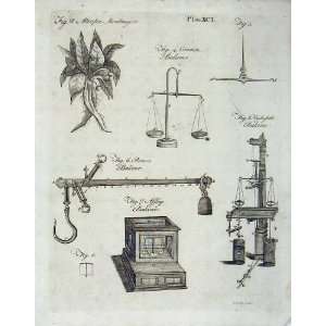 Encyclopaedia Britannica 1801 Balance Machine Scales