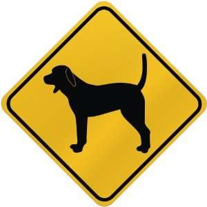  ONLY  COONHOUND  CROSSING SIGN DOG