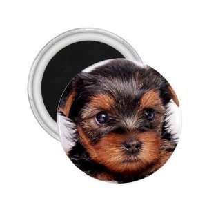  Yorkshire Terrier Puppy Dog 8 2.25in Magnet R0655 