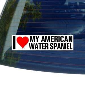   AMERICAN WATER SPANIEL   Dog Breed   Window Bumper Sticker: Automotive
