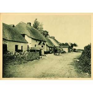 1913 Photogravure Irish Village Street Thatched Roof Cottage Ireland 
