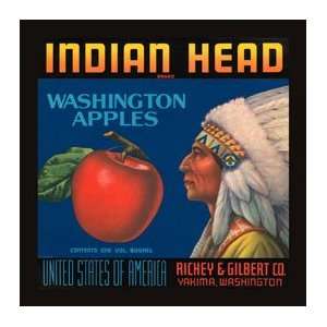  Indian Head Metal Sign Country Home Decor Wall Accent