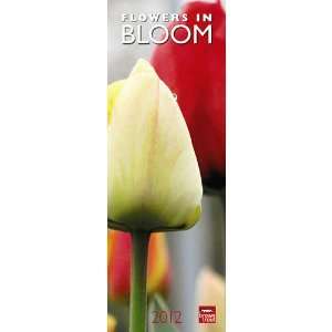  Flowers in Bloom 2012 Slimline Wall Calendar Office 