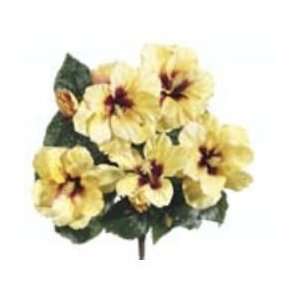  Allstate FBH498 YE 18 in. Hibiscus Bush Yellow  Case of 12 