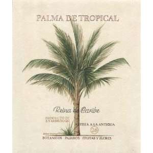 Beth Yarbrough   Palma De Tropical Canvas 