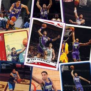  Sacramento Kings Dan Gadzuric 20 Card Player Set Sports 