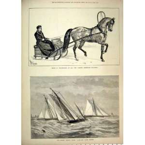  1877 Royal Albert Yacht Club Yawl Match Trotter Horse 