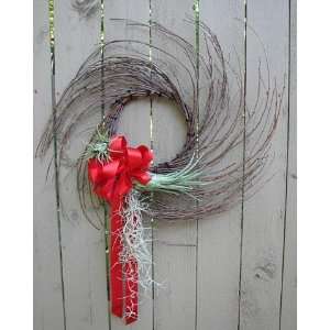   Air Plant Swirl Wreath   Great Gift Easy to grow Patio, Lawn & Garden